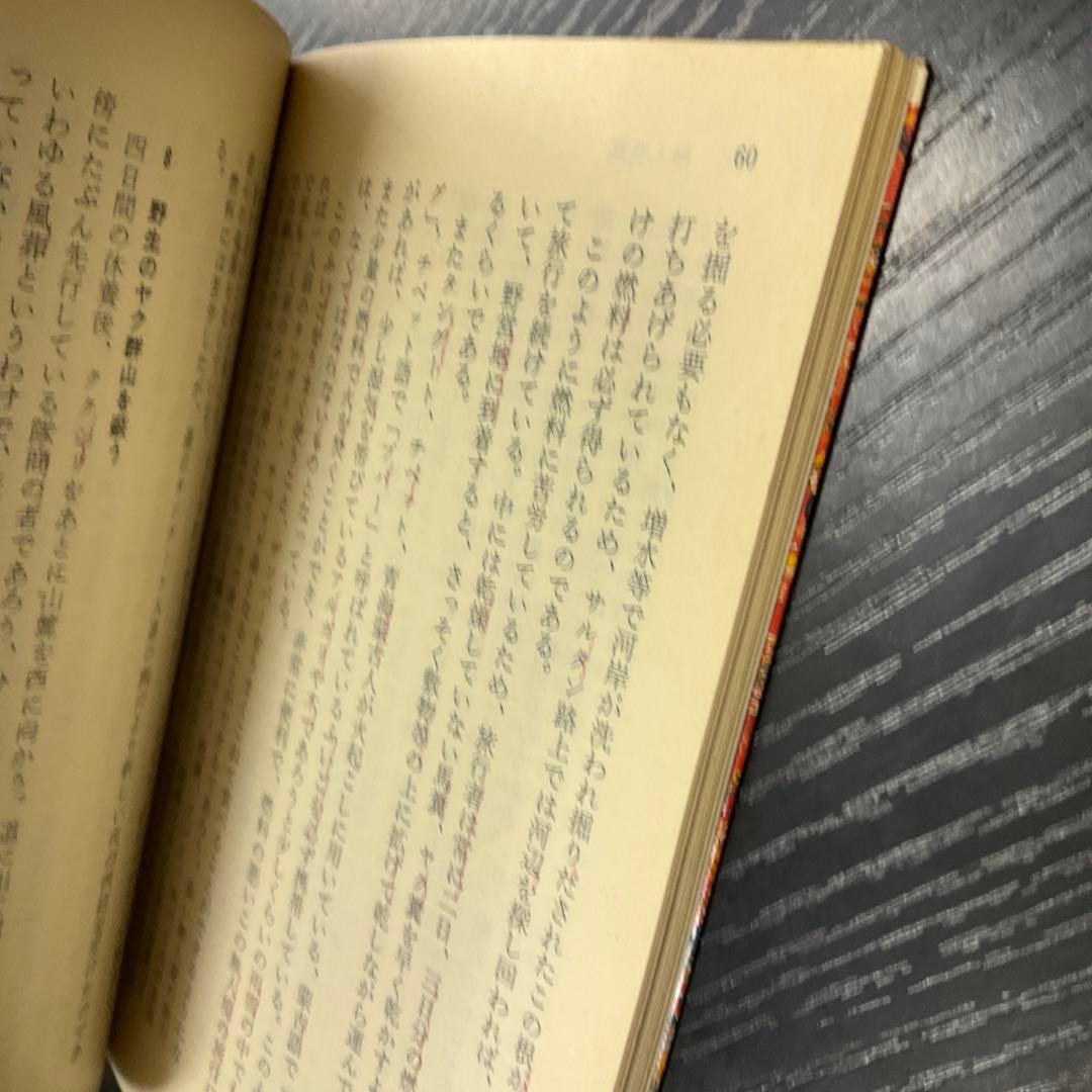 秘境西域八年の潜行 中巻