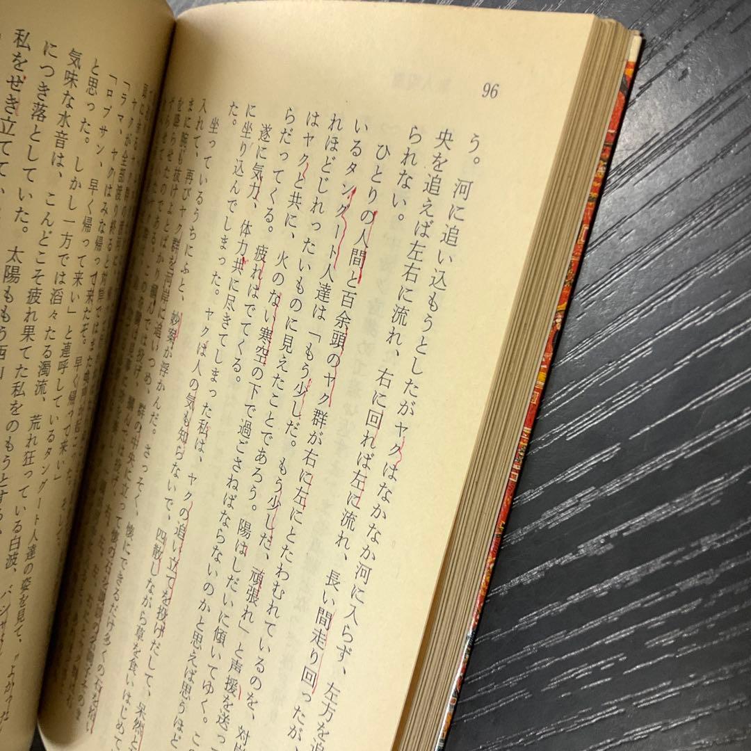 秘境西域八年の潜行 中巻