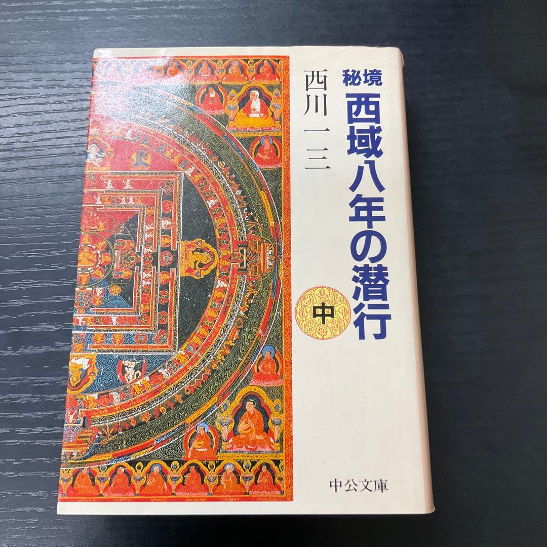 秘境西域八年の潜行 中巻