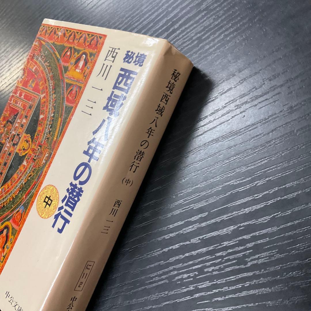 秘境西域八年の潜行 中巻