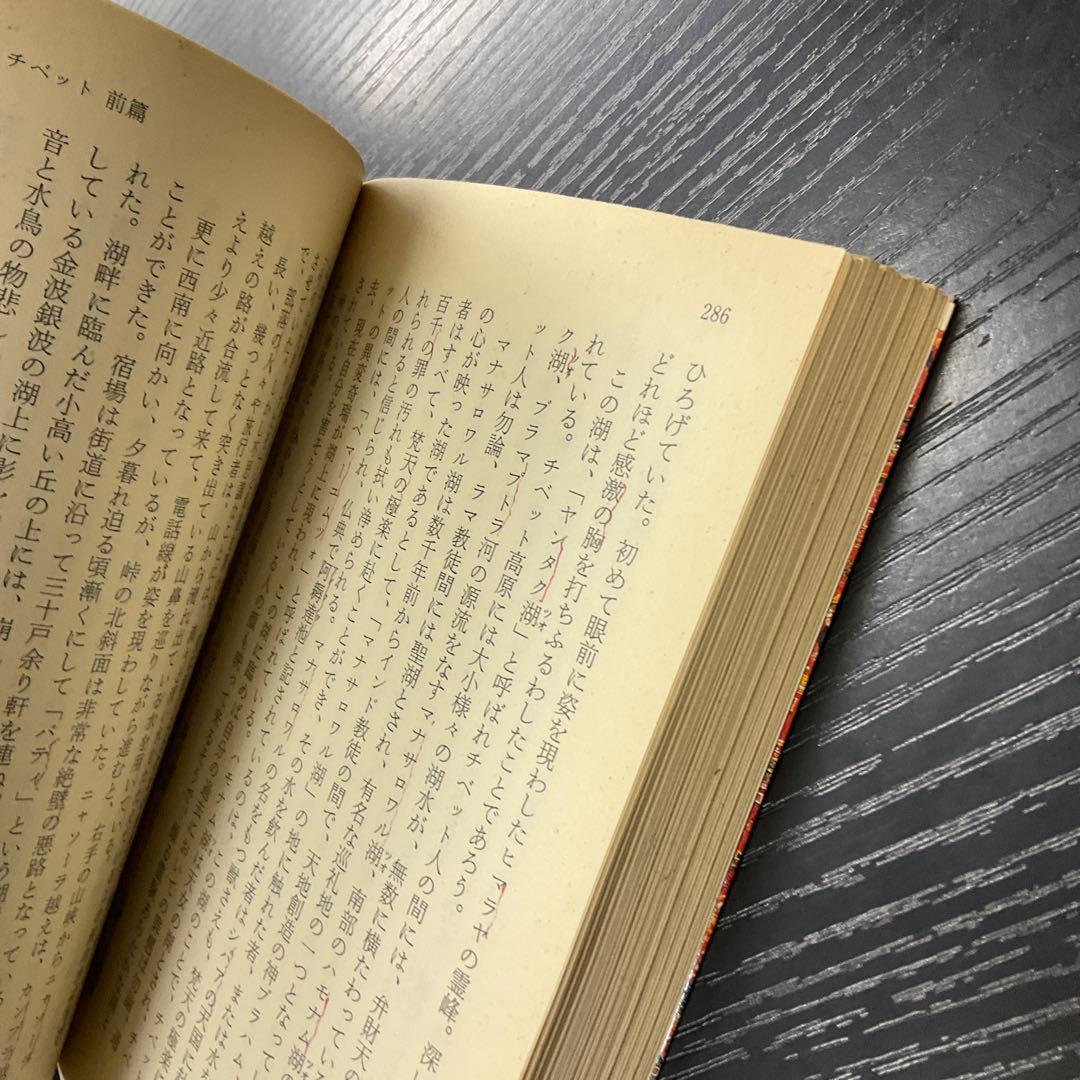 秘境西域八年の潜行 中巻