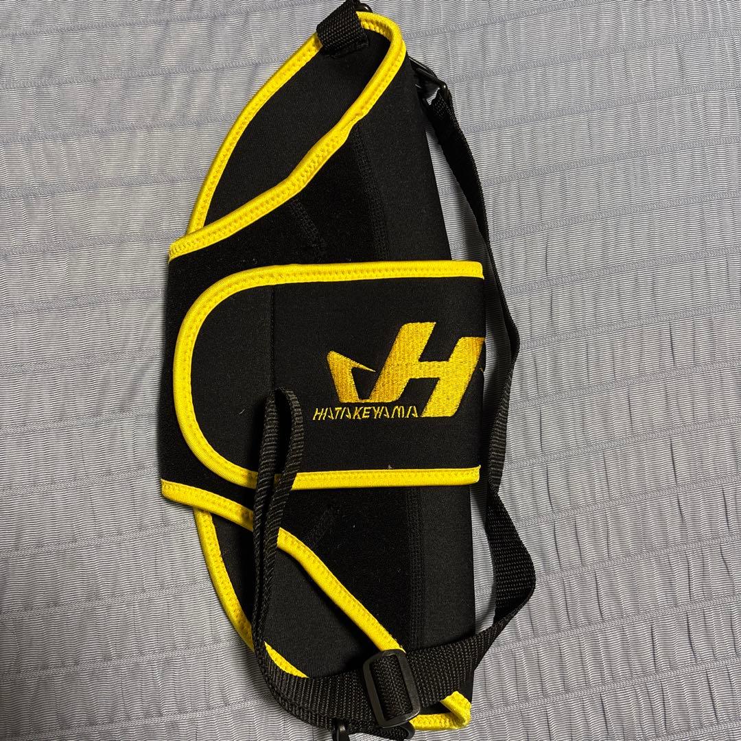 ハタケヤマ キャッチャーミット 甲斐モデル ハタケヤマグラブケース付き