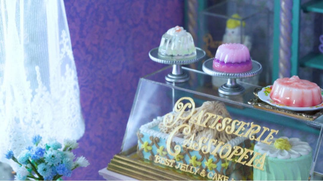 きゅきゅ⭐️KLOKAドールハウス＋ショーケース大❤️