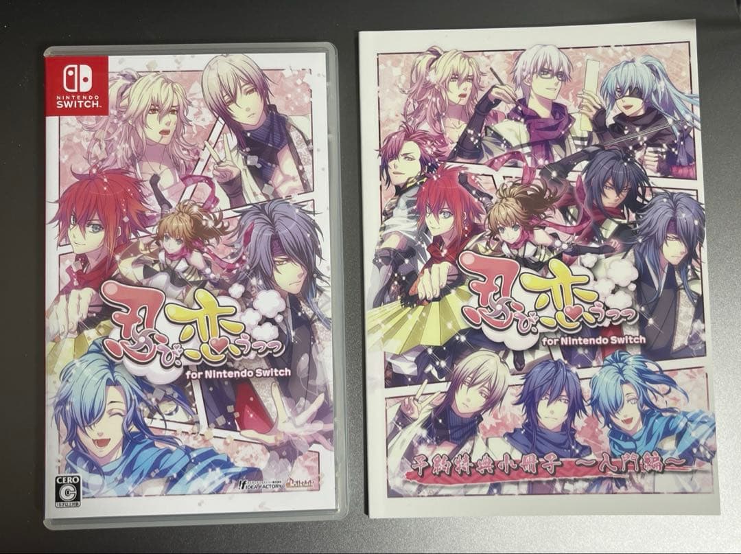 【美品】忍び、恋うつつ switch パッケージ版＋予約特典小冊子付き