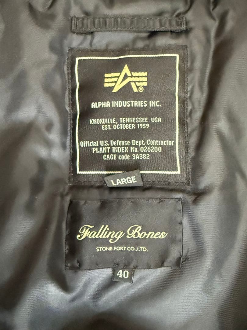 フォーリングボーンズ×アルファ　N-2B