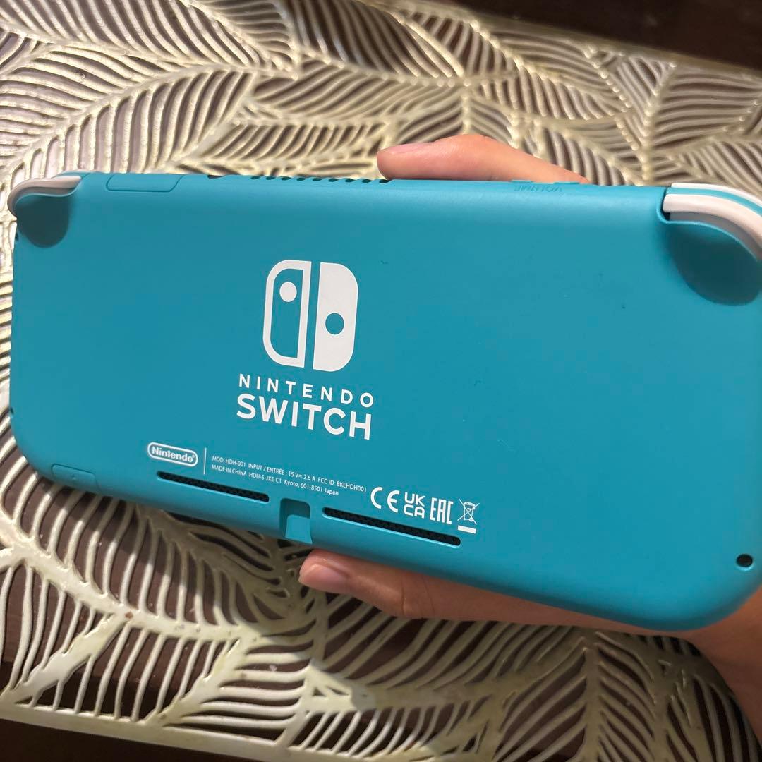 デ*イ様 任天堂SwitchLight本体・箱・充電器付き