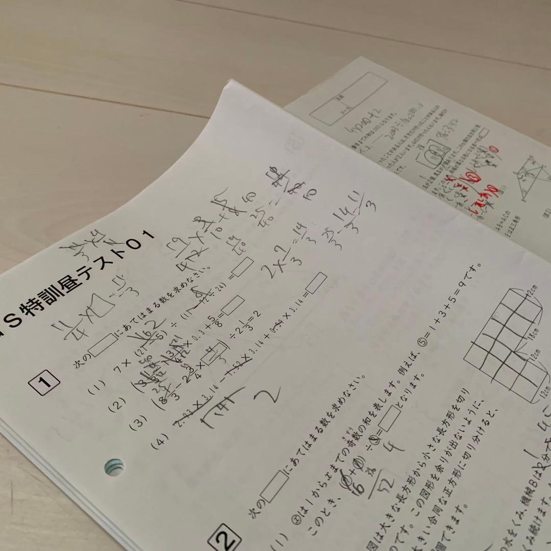 サピックス 6年 GS特訓 全4科目 筑駒開成渋渋コース 22年終了組