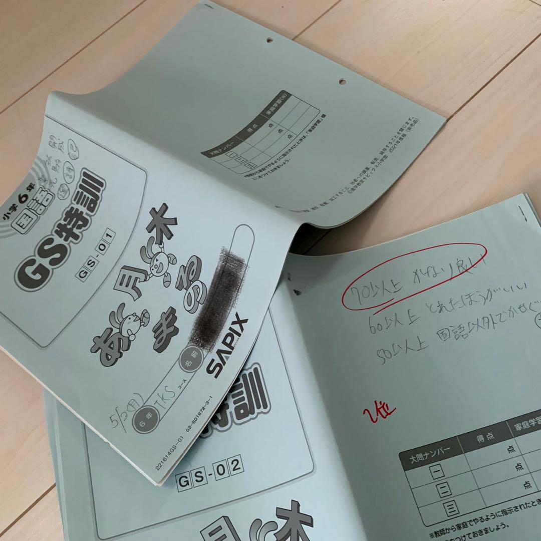 サピックス 6年 GS特訓 全4科目 筑駒開成渋渋コース 22年終了組