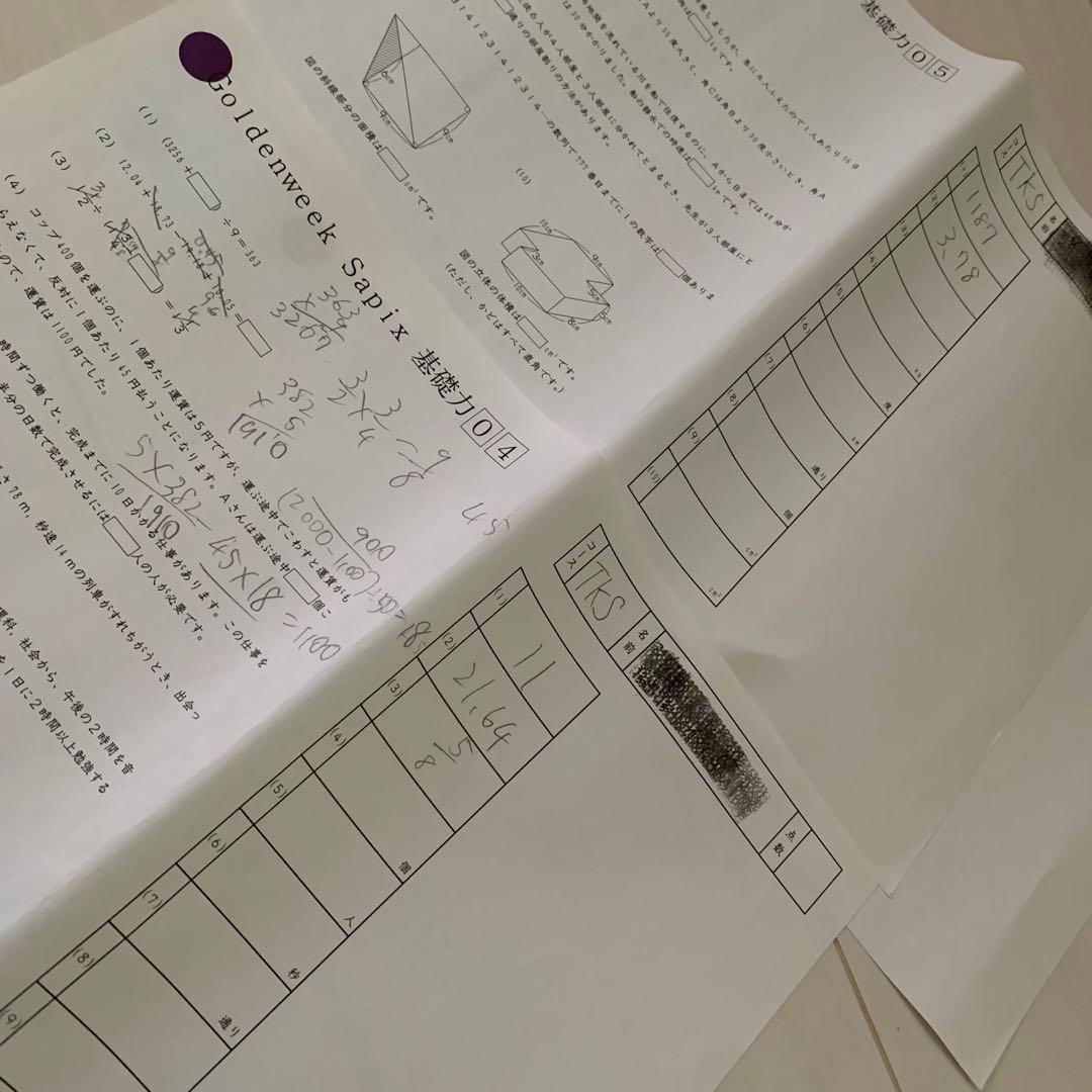 サピックス 6年 GS特訓 全4科目 筑駒開成渋渋コース 22年終了組