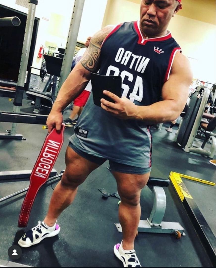 NITROGEN トレーニング・パワーベルト レッド