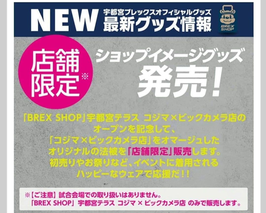 【新品】宇都宮ブレックス　BREXHappi【サンフラワーブレッキー】店舗限定