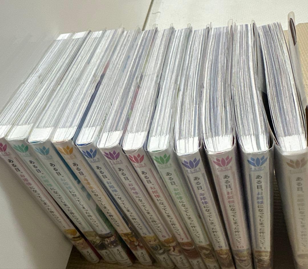 ある日、お姫様になってしまった件について 1〜12