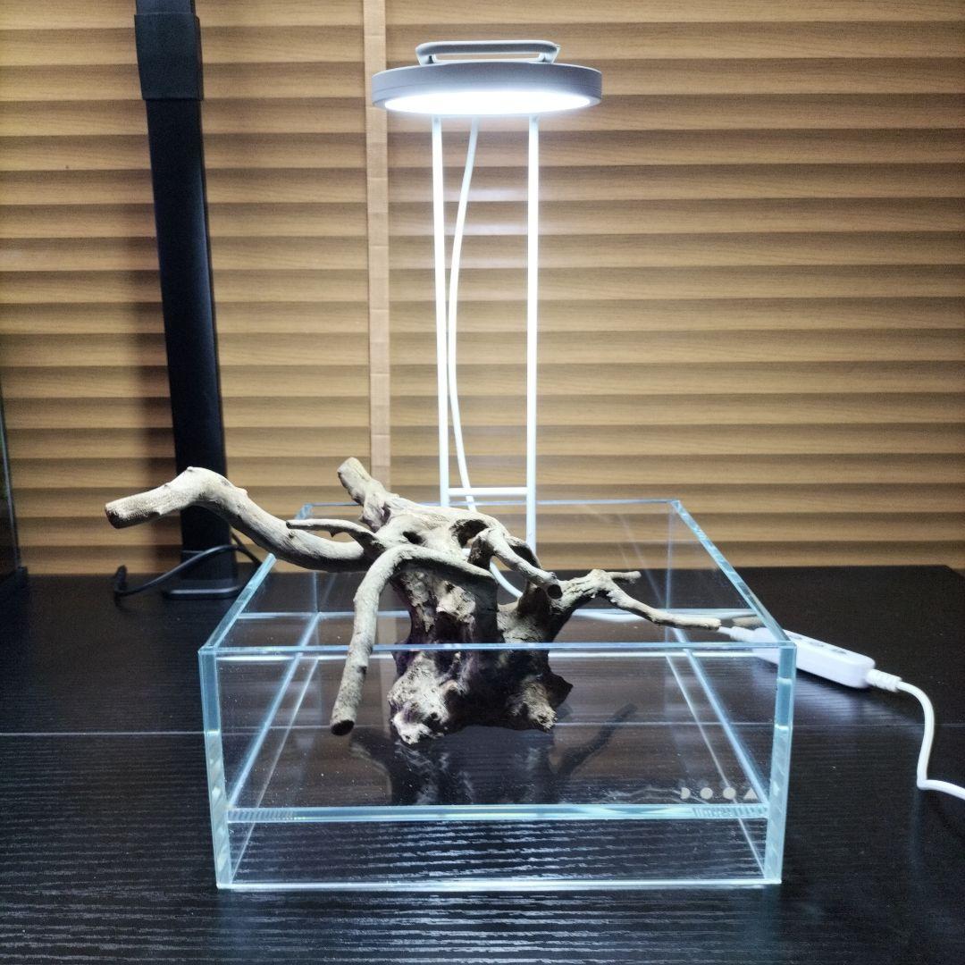 ​【美品・使用3ヶ月】DOOA ネオグラスエア 　 ライトアーム、ライトのセット