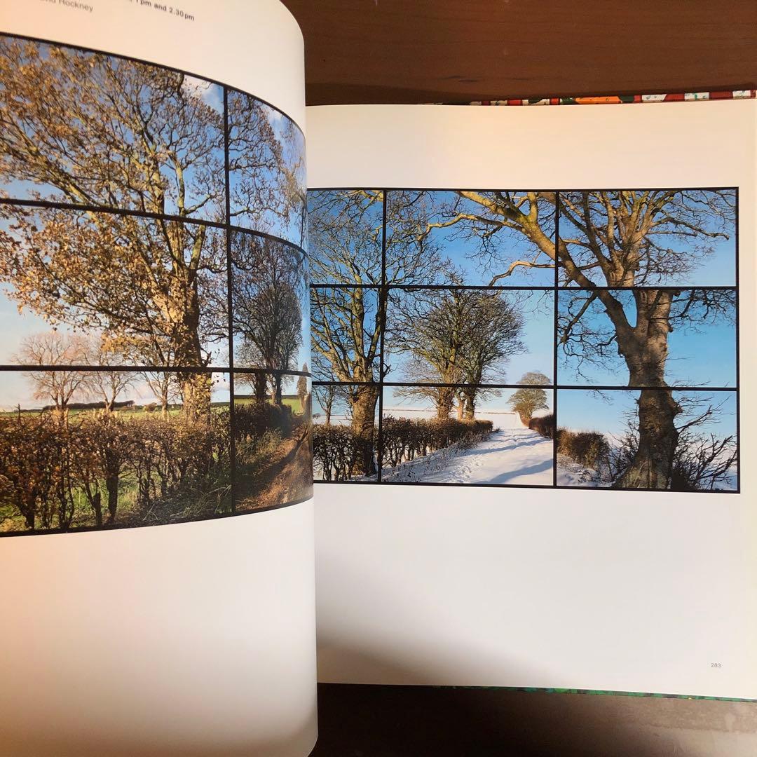 David Hockney: A Bigger Picture (洋書)