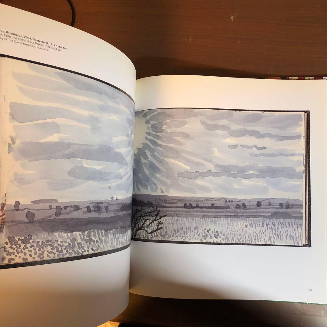 David Hockney: A Bigger Picture (洋書)