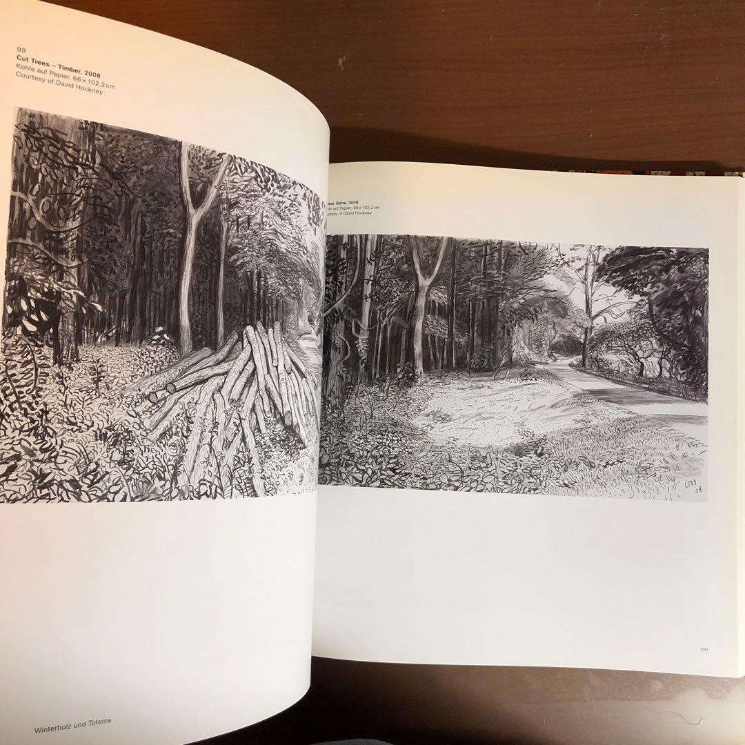 David Hockney: A Bigger Picture (洋書)