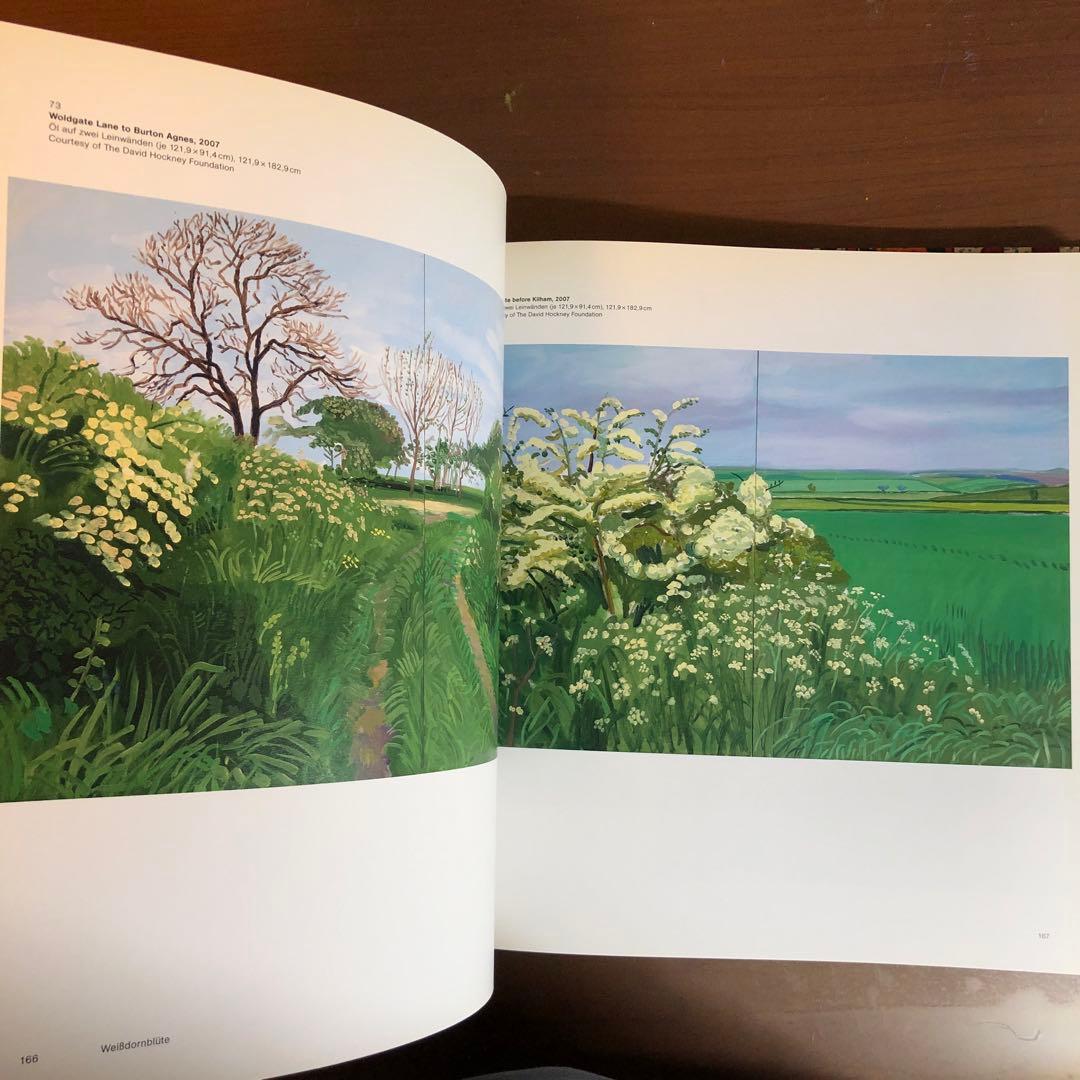 David Hockney: A Bigger Picture (洋書)