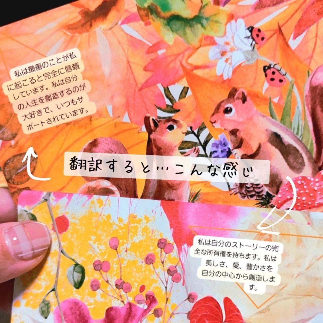 新品 ピンクエッジ♡アニマルオーラ錬金術 オラクルカード 全47枚