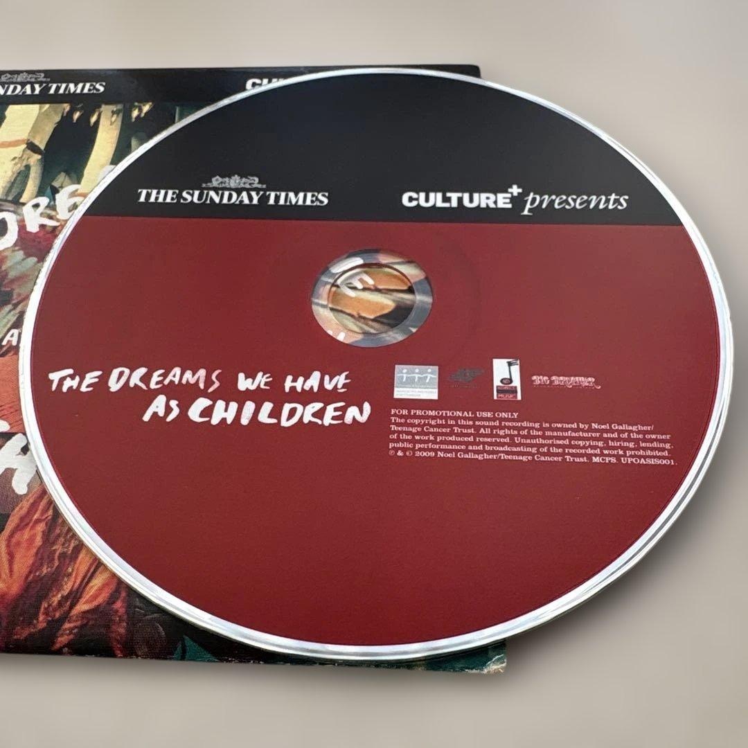 Noel Gallagher sundaytimes 付録oasis