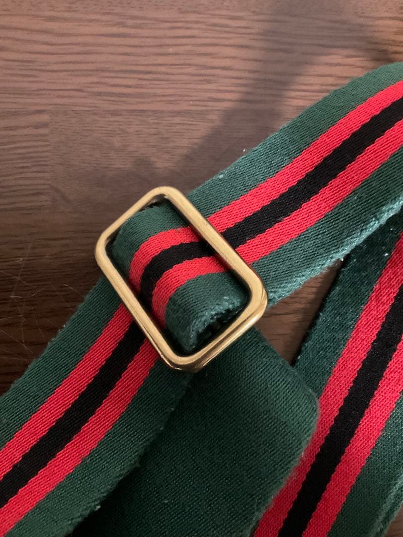 【GABRIELE FRANTZEN】 タイガーバッグストラップ