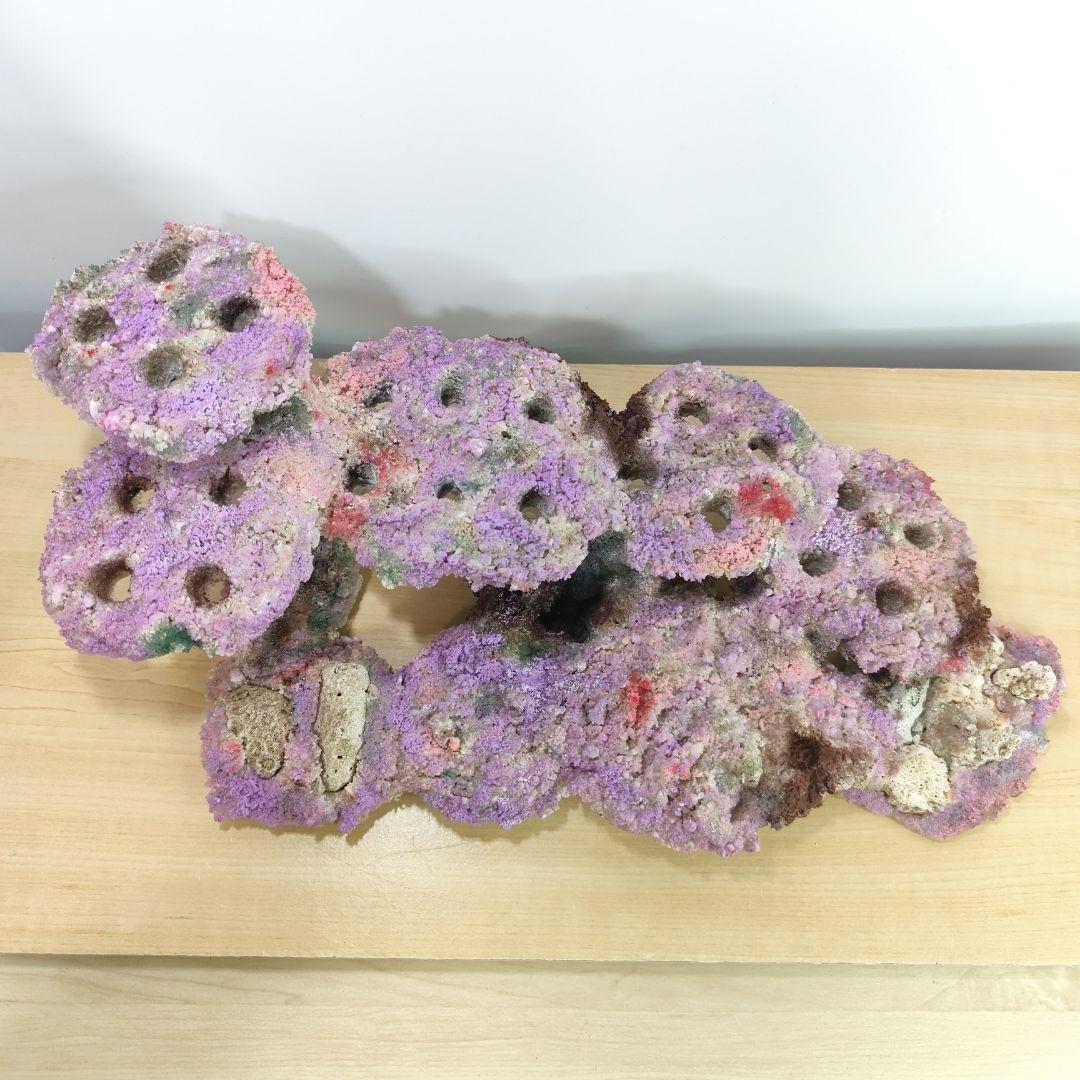 ✐プラグ穴付き 新品 人工ライブロック 60cm海水水槽用 レプリカ 安い1