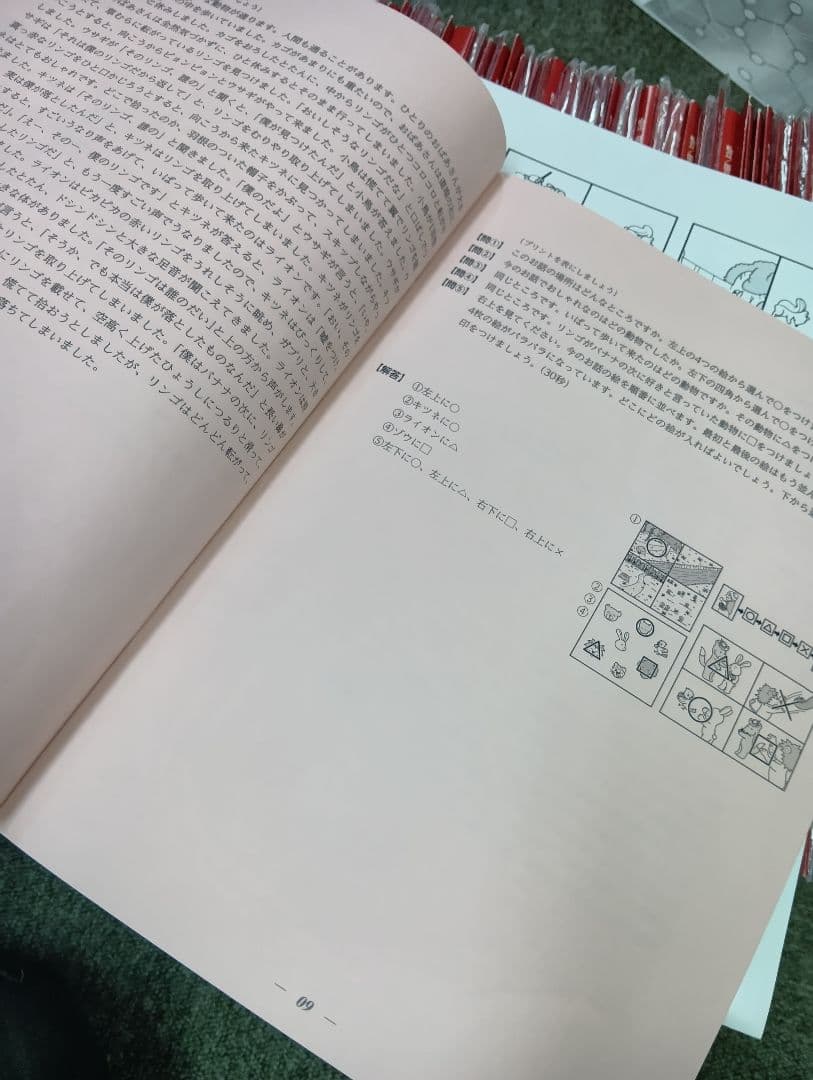 改訂版　伸芽会（しんが会）　オリジナル問題集63冊フルセット　中古