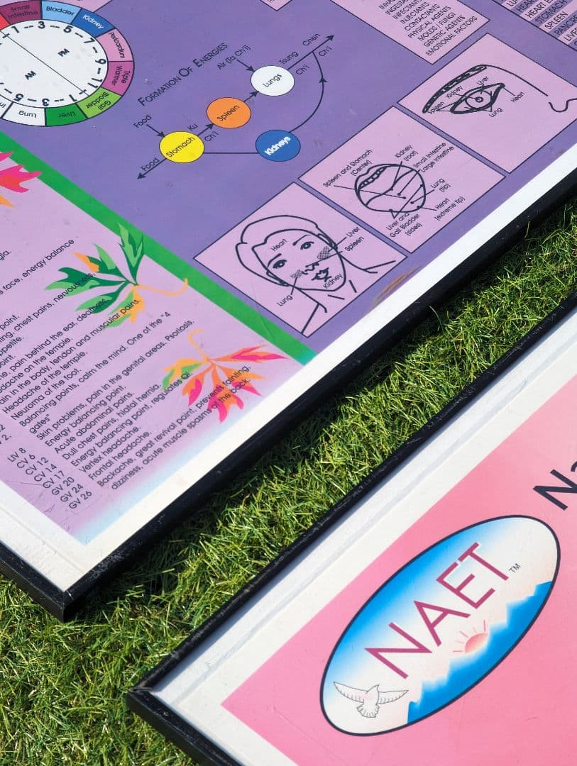 超希少！NAETアレルギー除去法オリジナルポスター
