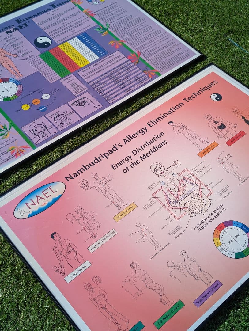 超希少！NAETアレルギー除去法オリジナルポスター