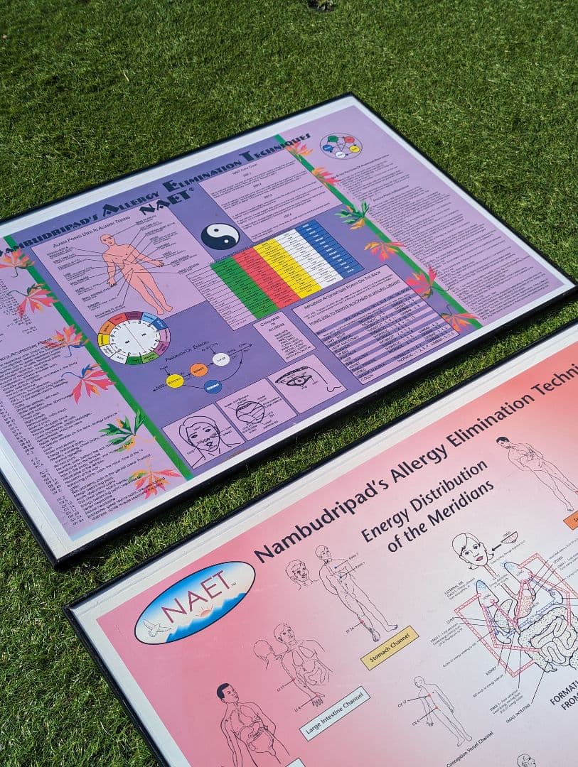 超希少！NAETアレルギー除去法オリジナルポスター