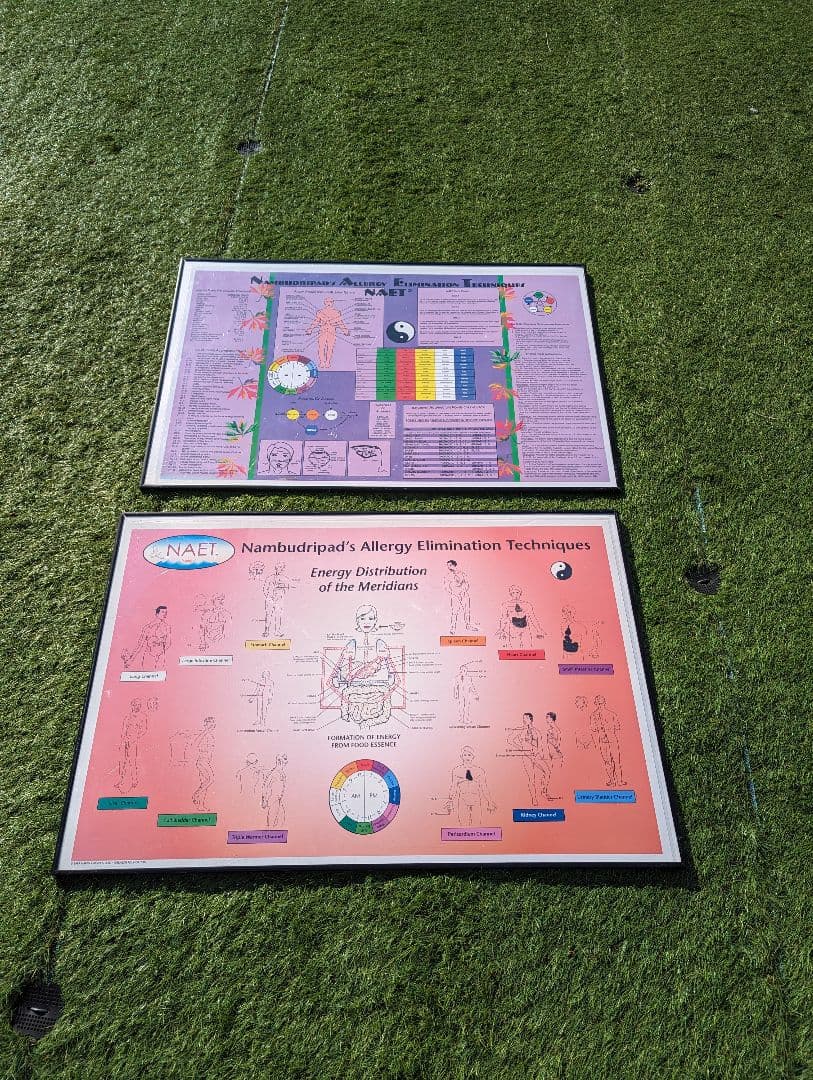 超希少！NAETアレルギー除去法オリジナルポスター