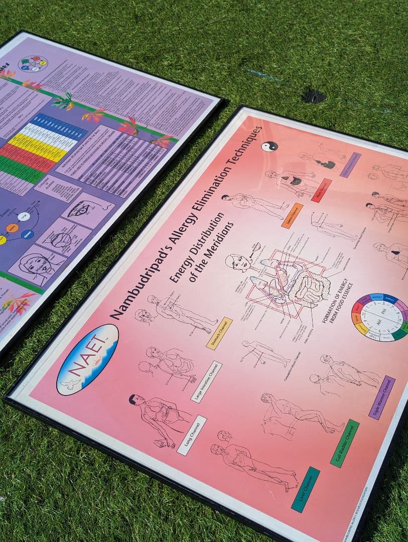 超希少！NAETアレルギー除去法オリジナルポスター