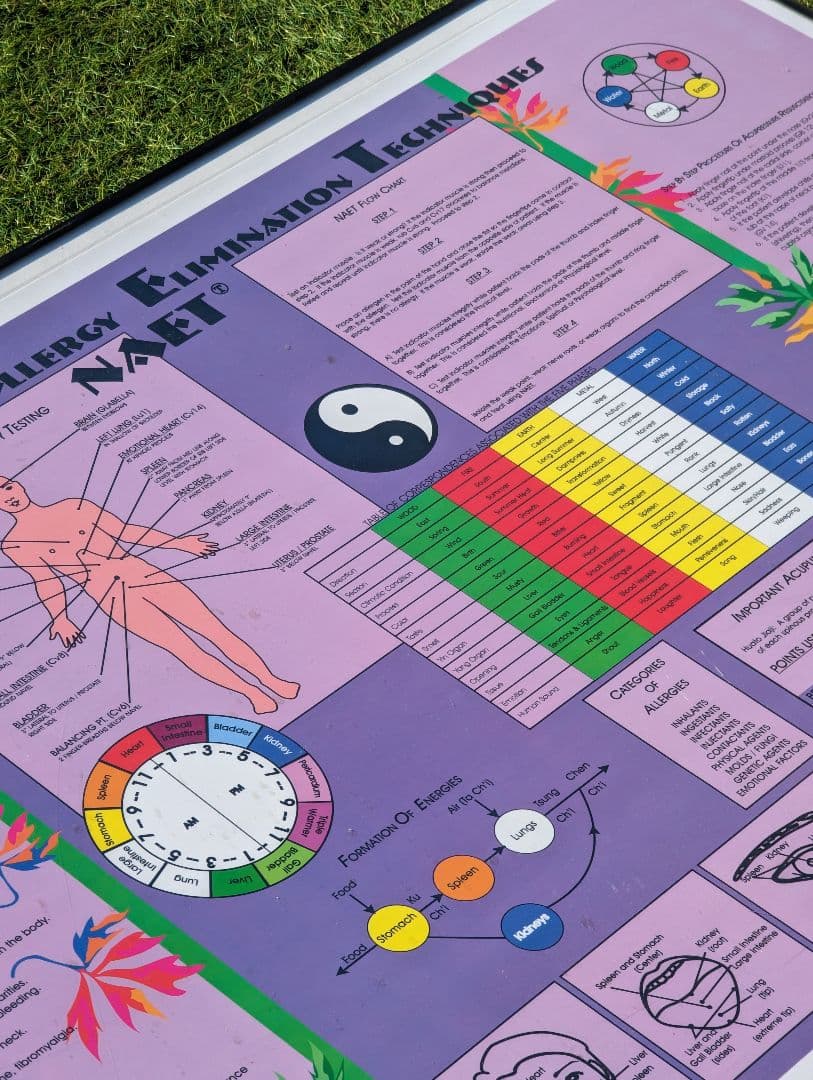 超希少！NAETアレルギー除去法オリジナルポスター