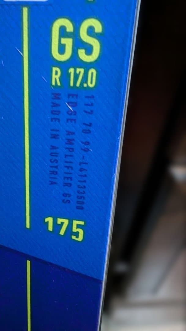 スキー SALOMON S/RACE RUSH GS 175