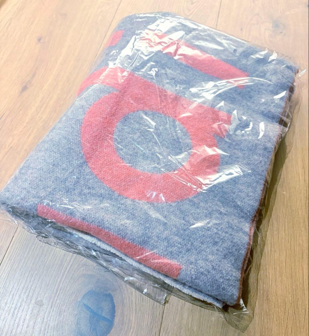 【美品⭐︎クリーニング済み】アクネ ACNE STUDIOS リバーシブルマフラー