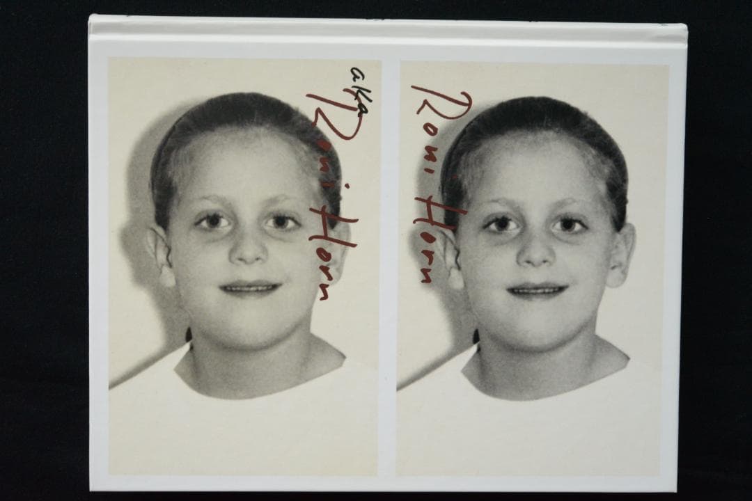 【Roni Horn aka Roni Horn】Roni Horn新品未読品