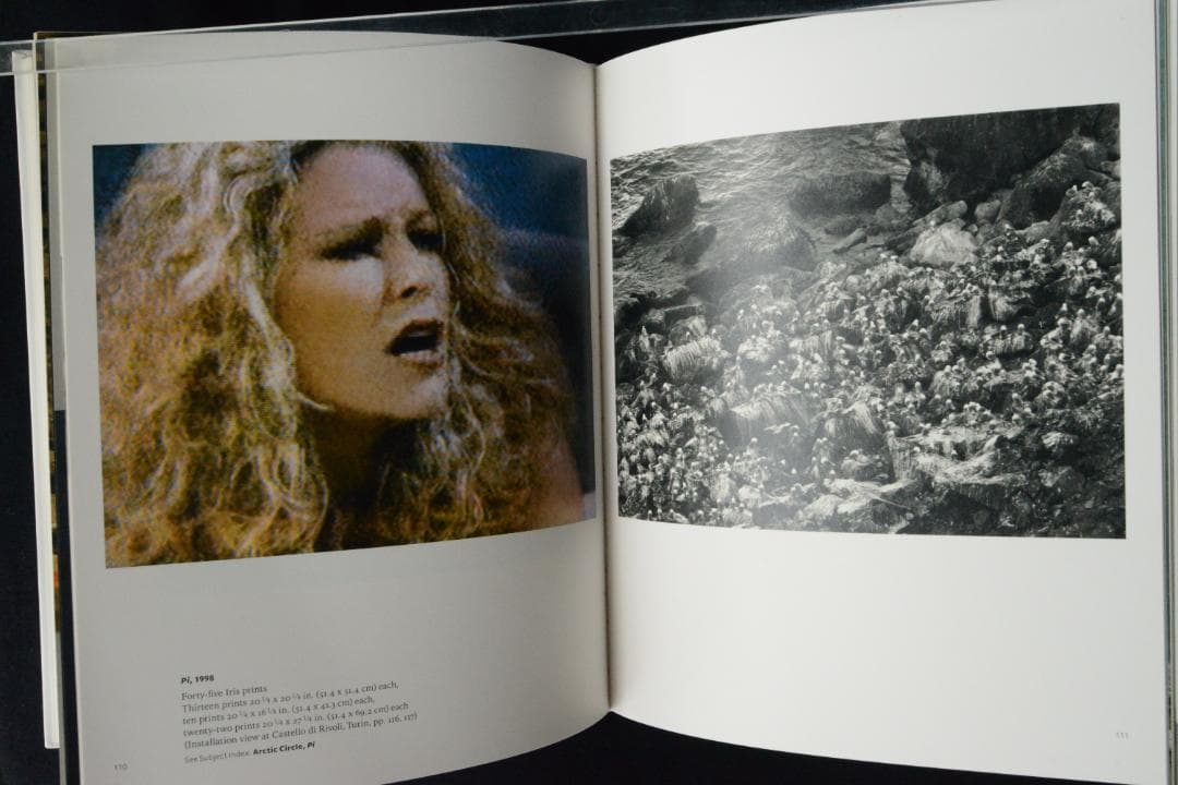 【Roni Horn aka Roni Horn】Roni Horn新品未読品