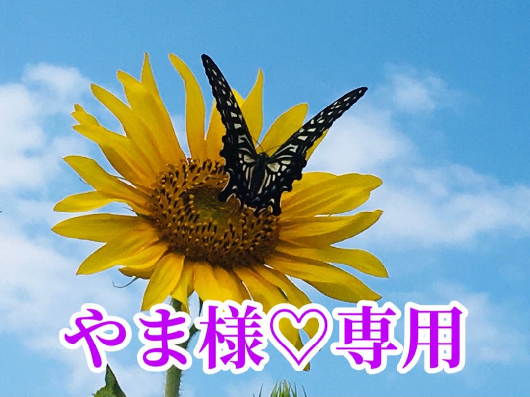 やま様❤️おまとめさ専用ページです。2/22まで♡