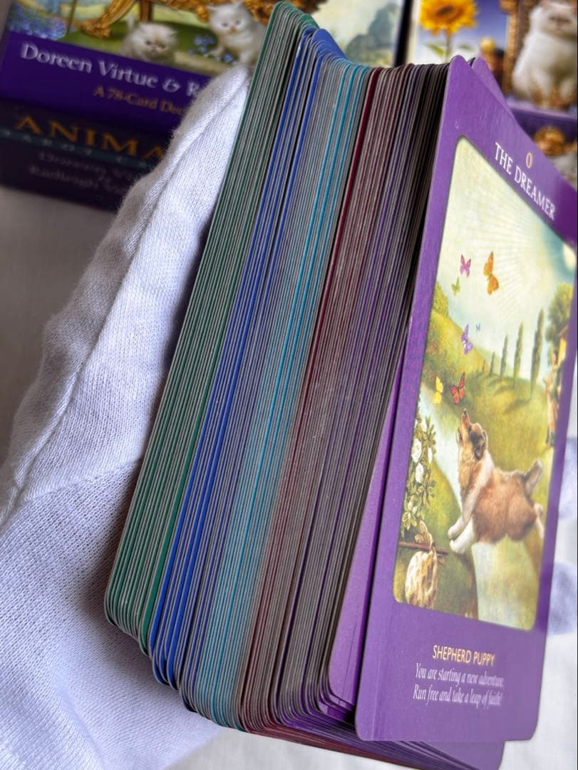 【正規品タロットカード】アニマルタロットカード　英語版