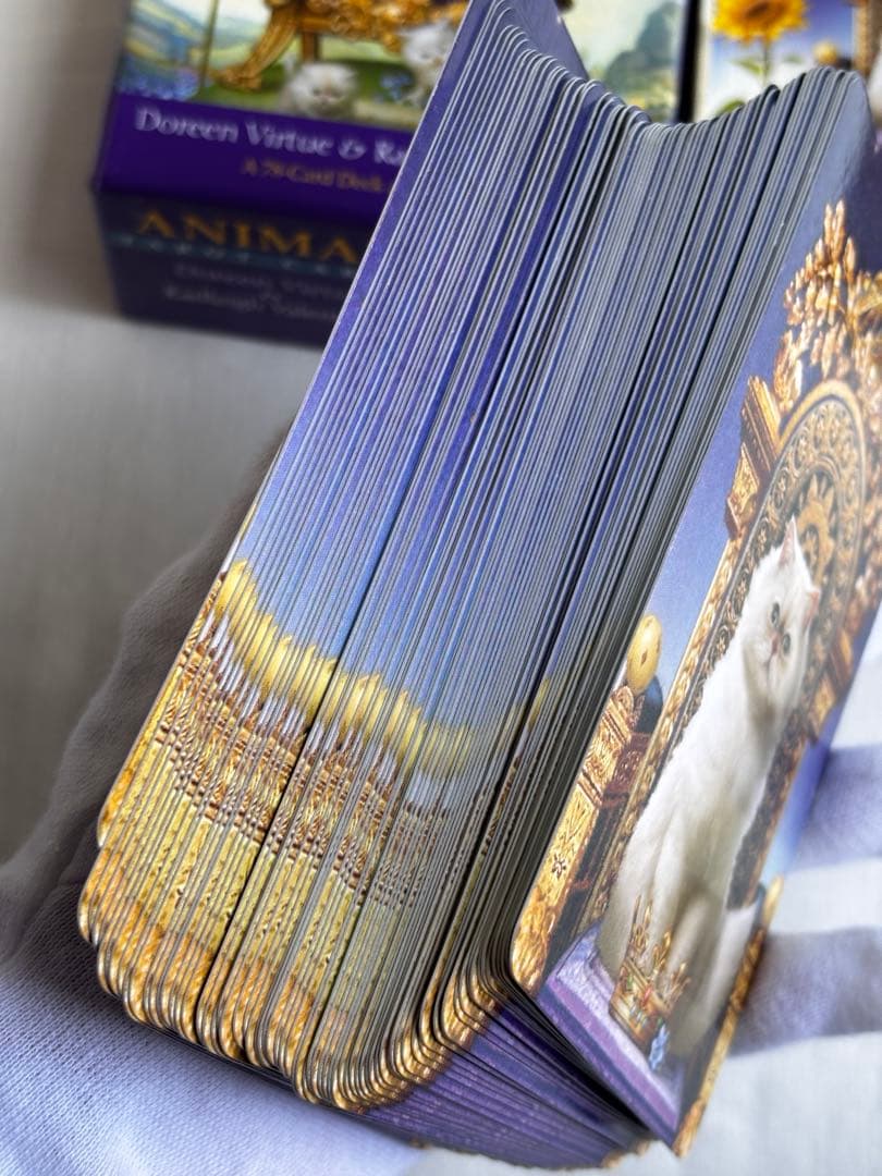 【正規品タロットカード】アニマルタロットカード　英語版