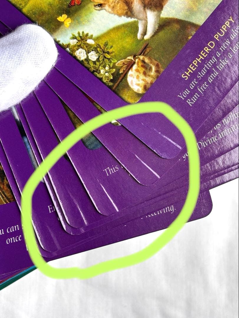 【正規品タロットカード】アニマルタロットカード　英語版