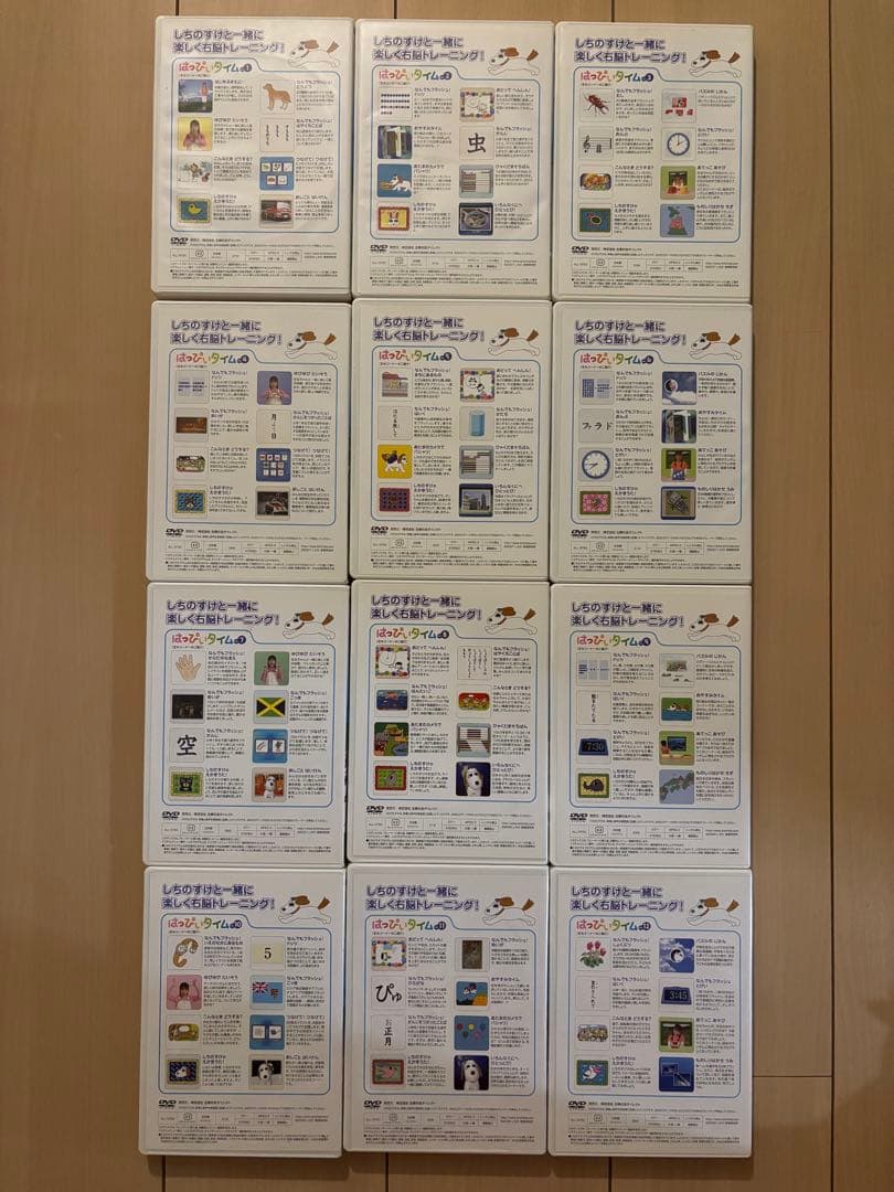 【七田式】ハッピータイム＆もっとハッピータイム DVD 全24巻セット 知育教材