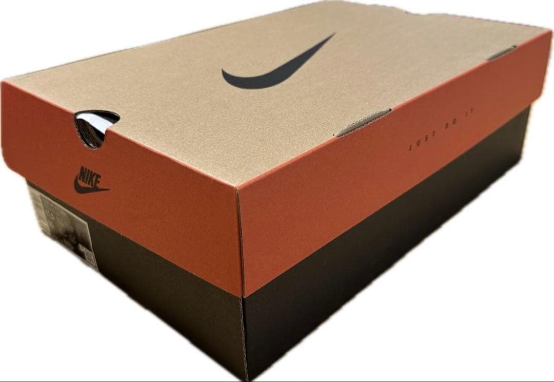 Nike WMNS AIR MAX SNDR 28.5 エアマックス サンダー