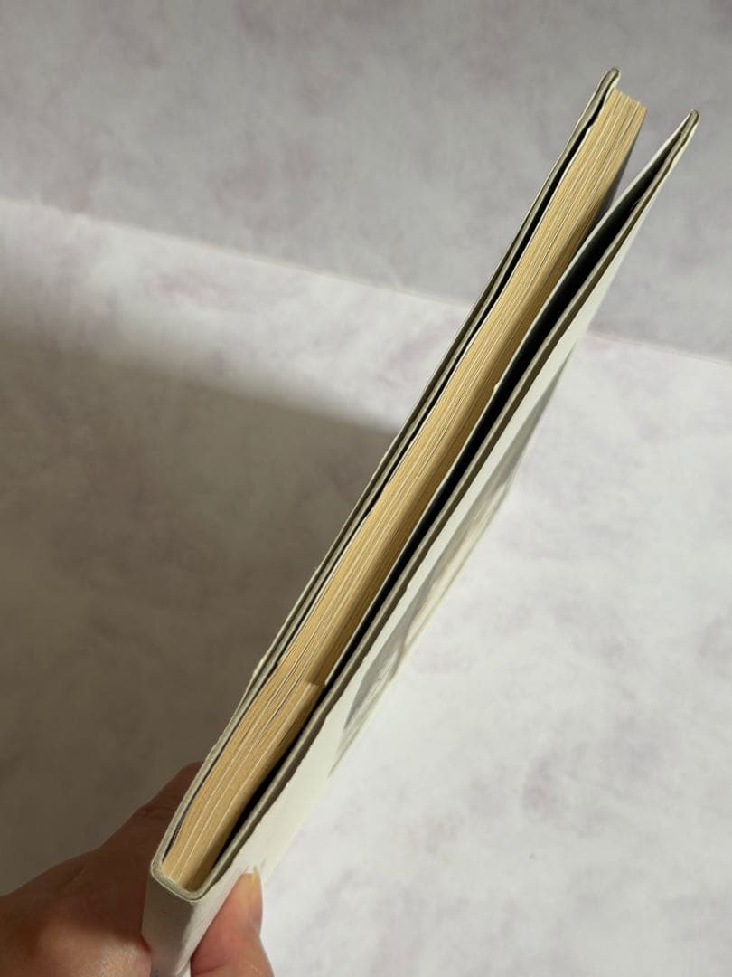 白い、白い日 アルセーニイ・タルコフスキー詩集｜静かでやさしい時間