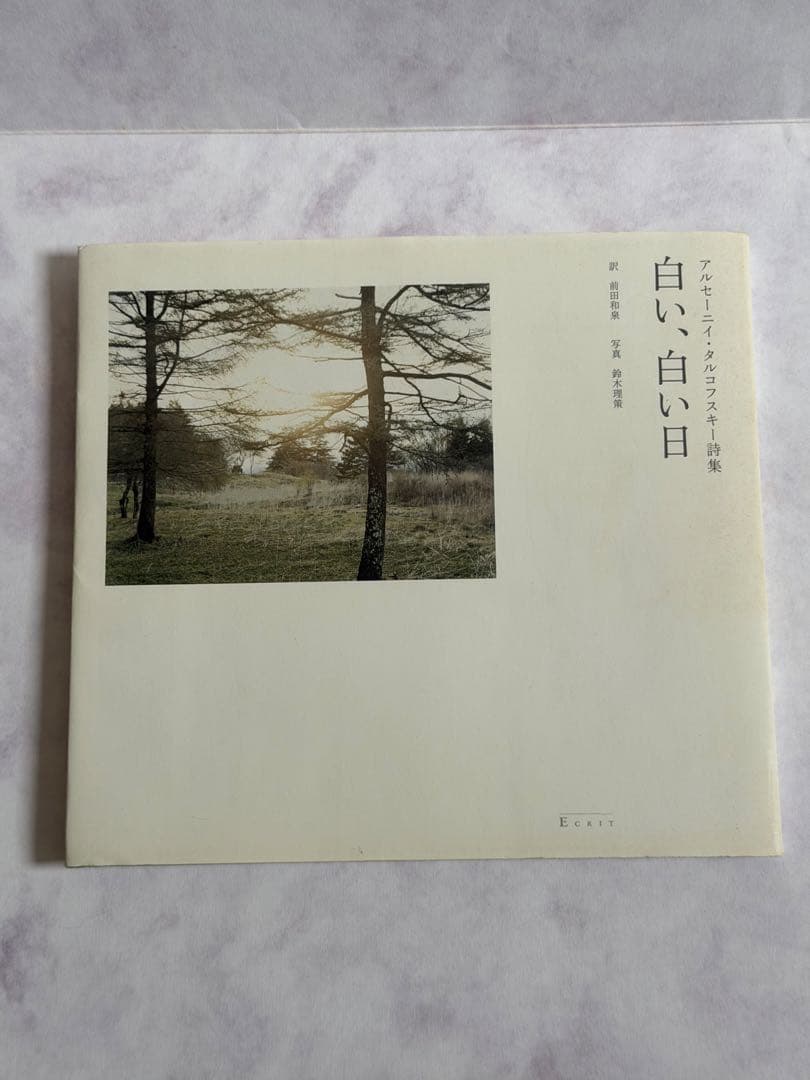 白い、白い日 アルセーニイ・タルコフスキー詩集｜静かでやさしい時間