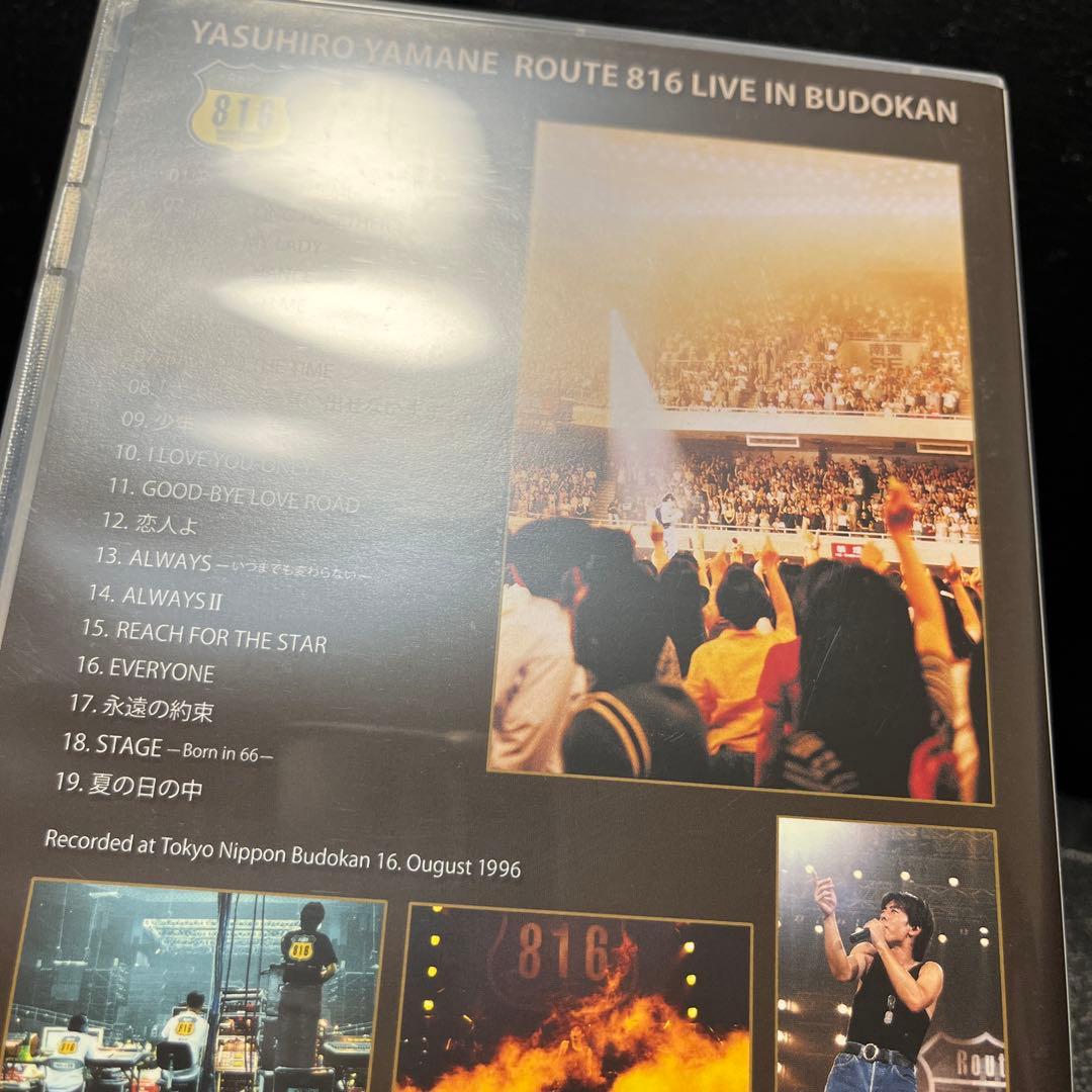 山根康広 Route 816 LIVE IN BUDOKAN DVD