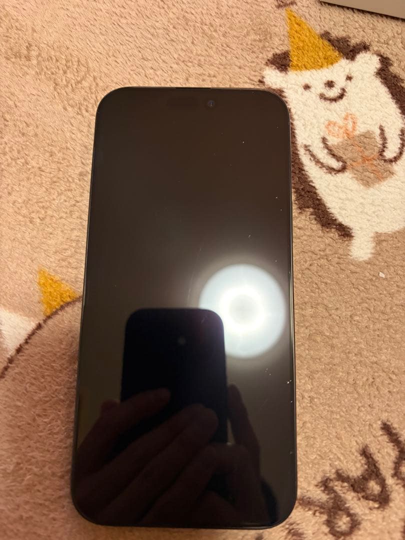 Apple iPhone 16 Pro MAX 本体