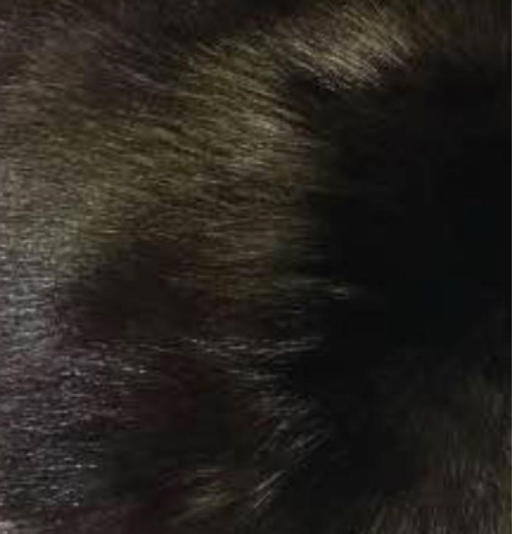 フォックス リアルファー ティペット ✳︎迷彩カラー✳︎レア✳︎希少