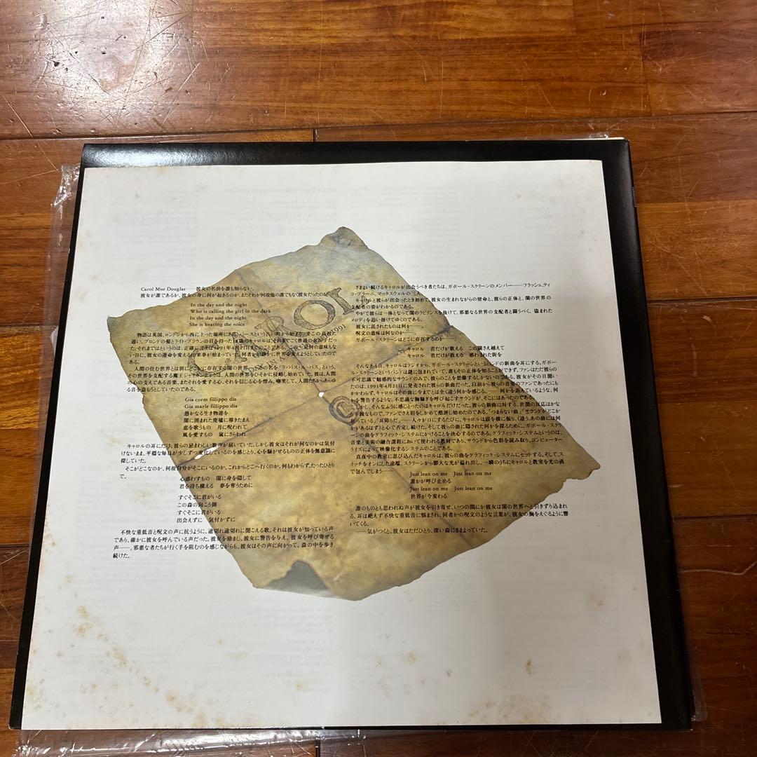 CAROL TMNETWORK 2枚組アルバムレコード