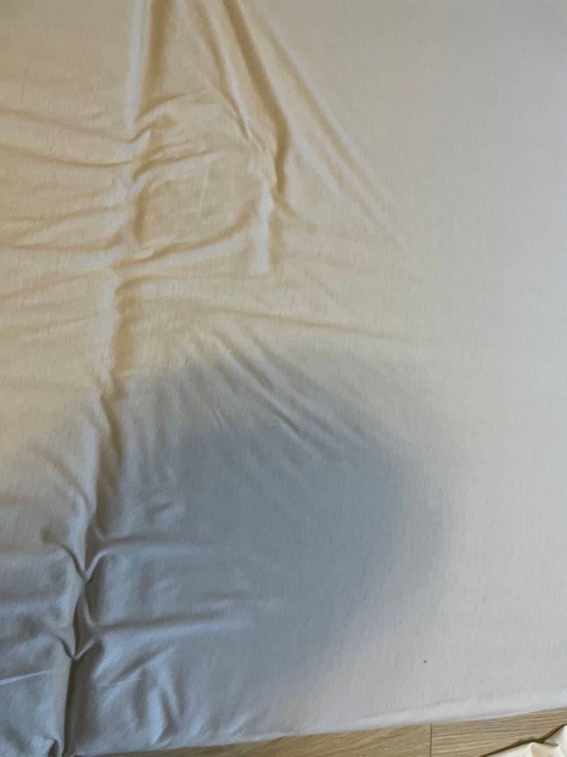 西川 &Free SA.R マットレス シングルサイズレギュラー　最終価格