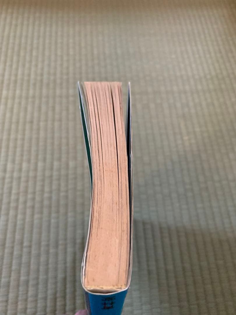 ® 夢の島で逢いましょう 山野一 青林堂